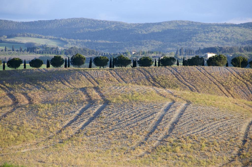 Agriturismo Poggio Bonelli Castelnuovo Berardenga Ngoại thất bức ảnh