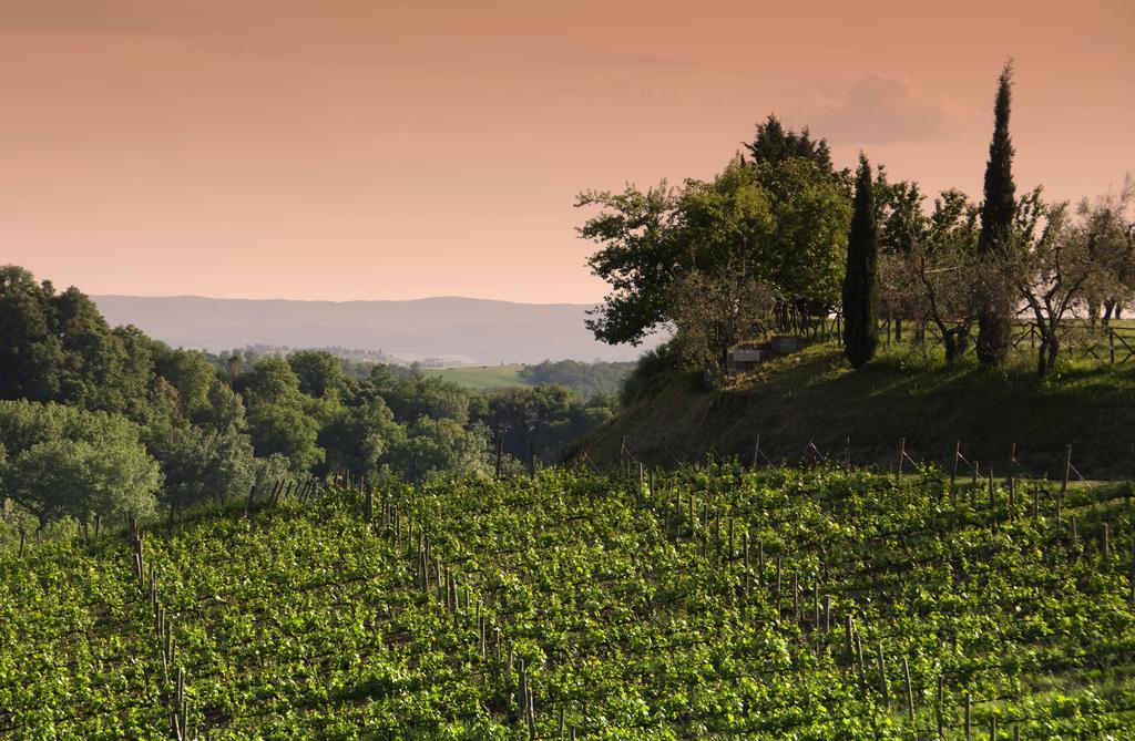 Agriturismo Poggio Bonelli Castelnuovo Berardenga Ngoại thất bức ảnh