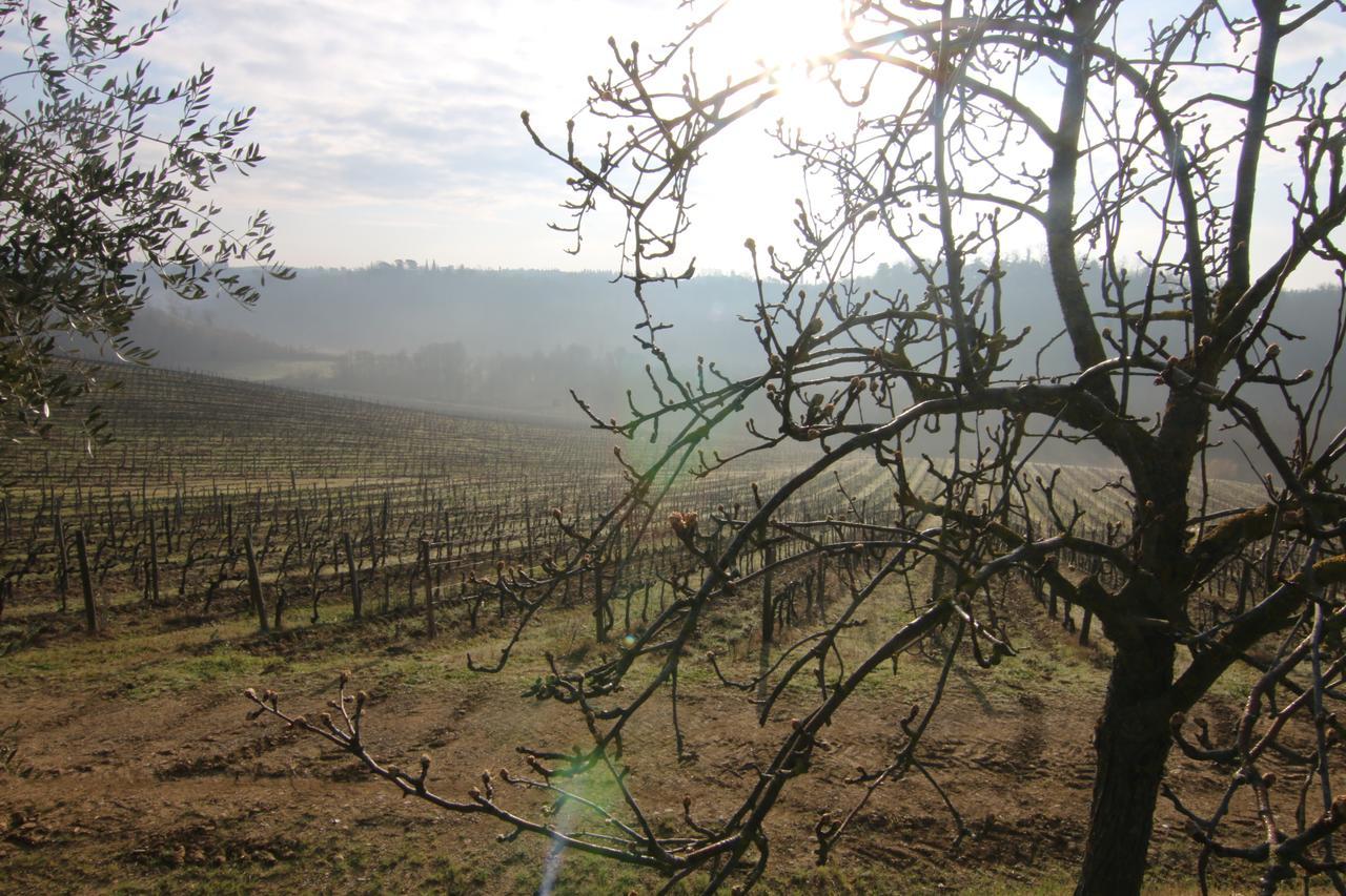 Agriturismo Poggio Bonelli Castelnuovo Berardenga Ngoại thất bức ảnh