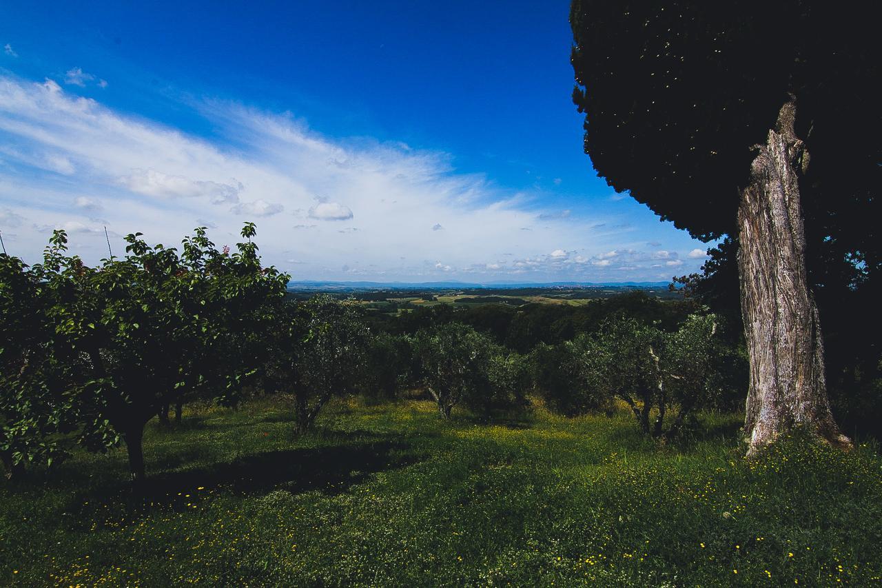Agriturismo Poggio Bonelli Castelnuovo Berardenga Ngoại thất bức ảnh